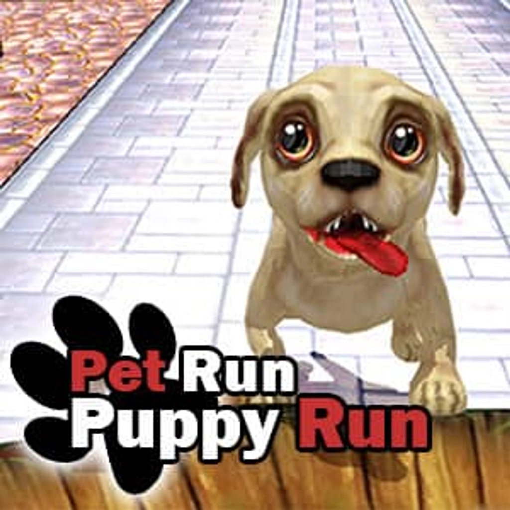 Pet Run Puppy Run - Free Play & No Download | FunnyGames