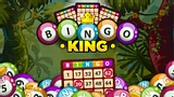 Bingo King