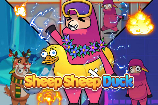 Sheep Sheep Duck