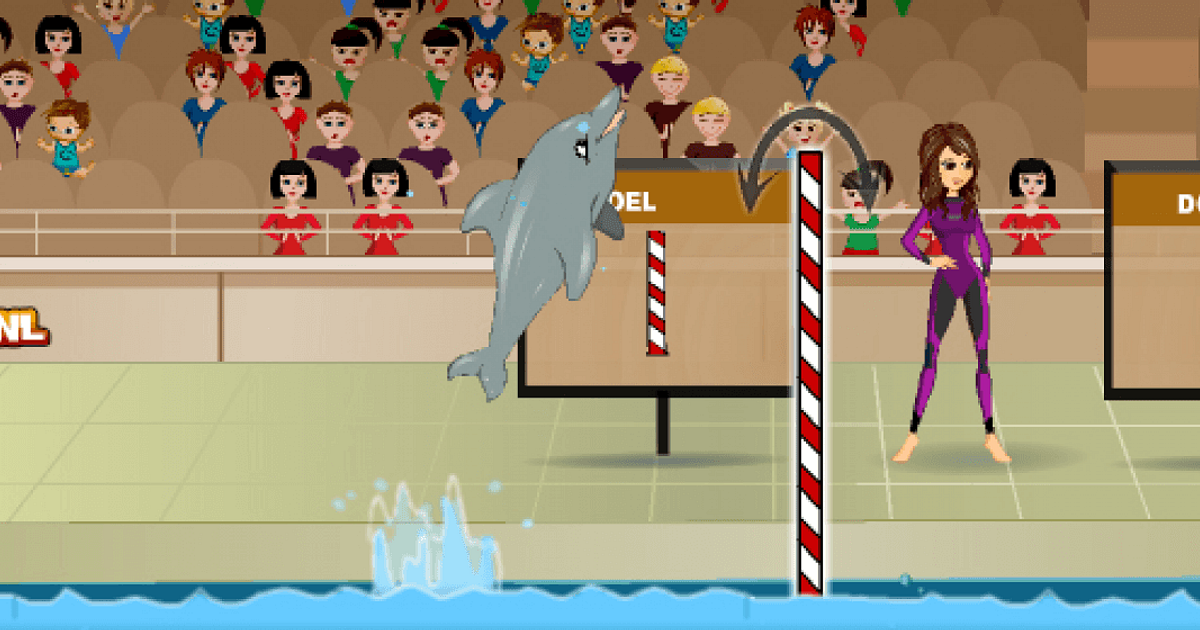 My Dolphin Show 