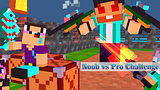 Noob vs Pro Challenge