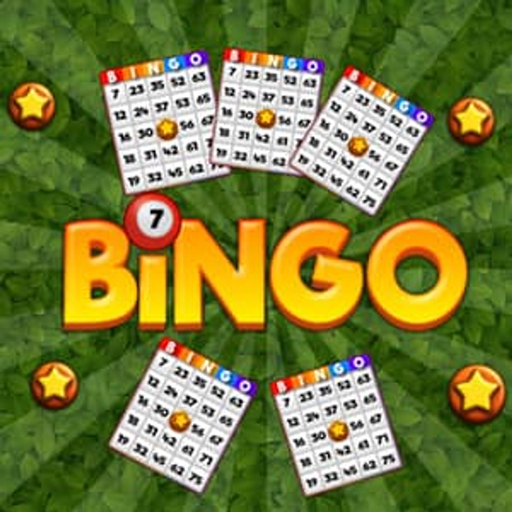 Bingo Online - Play Online on SilverGames 🕹️